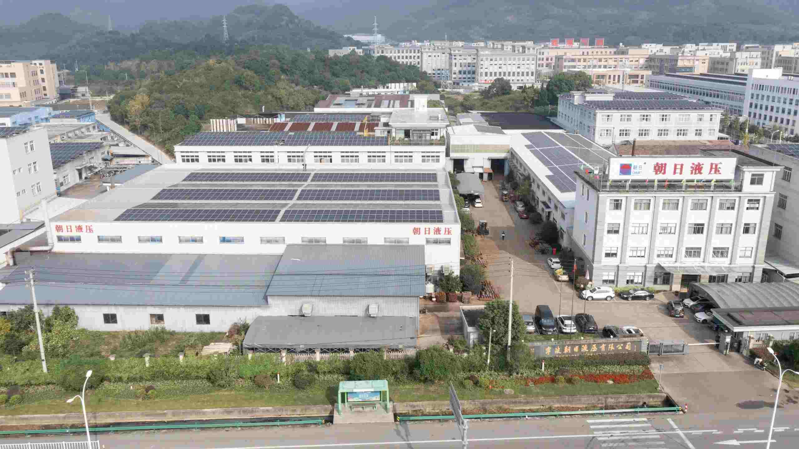 Chaori scaled 1